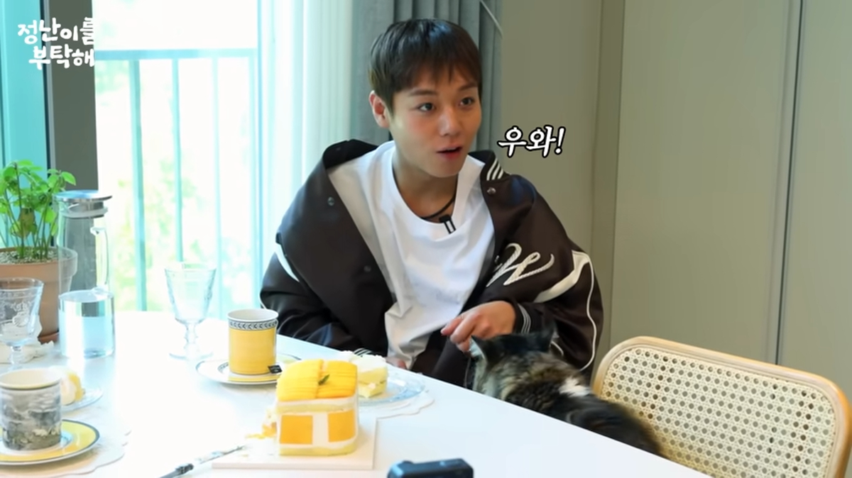 박지훈, 고양이의 애교 공격에 “강아지랑 너무 달라요” 눈빛 반짝 (영상)