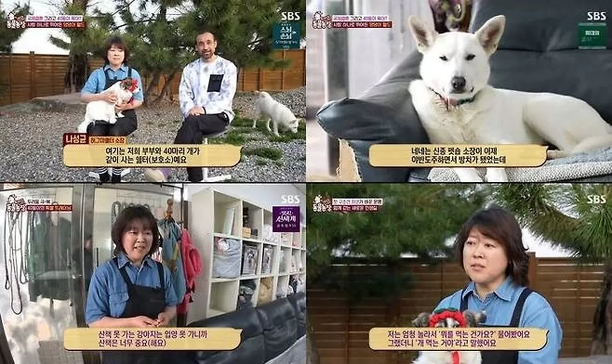 “줄에 묶이면 죽는다”... ‘동물농장’ 개농장 생존견의 눈물겨운 7년 침묵