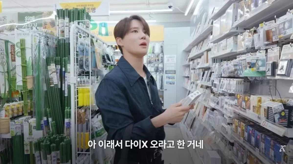 인사이트