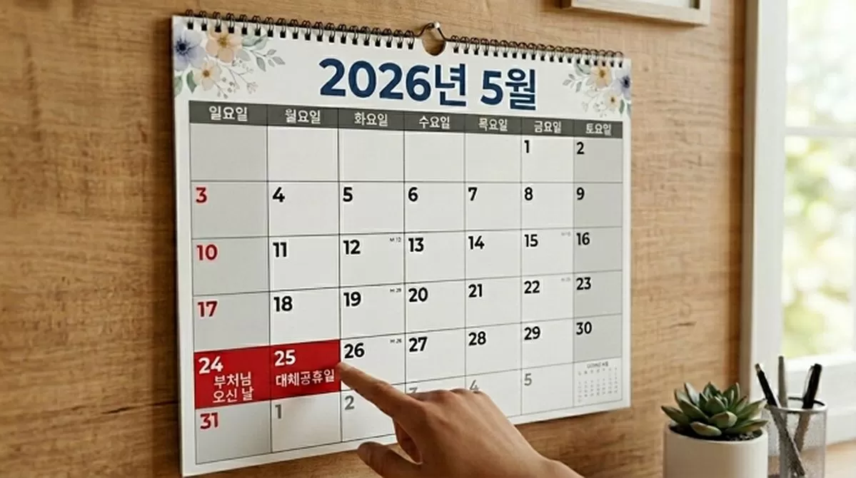 인사이트