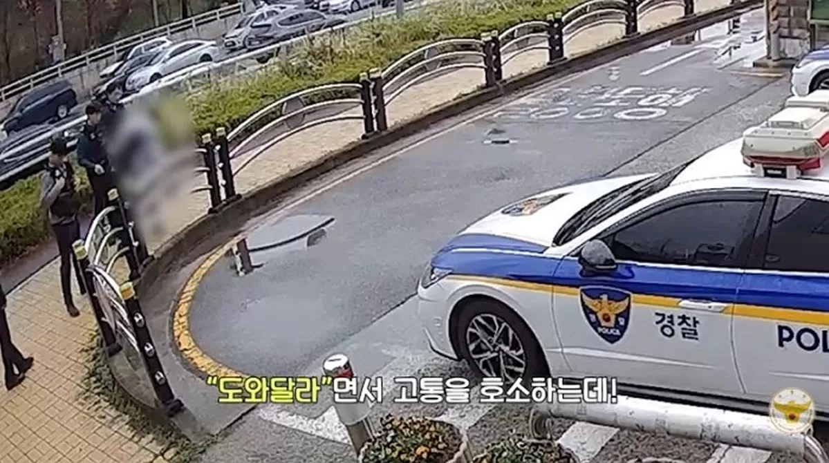 인사이트