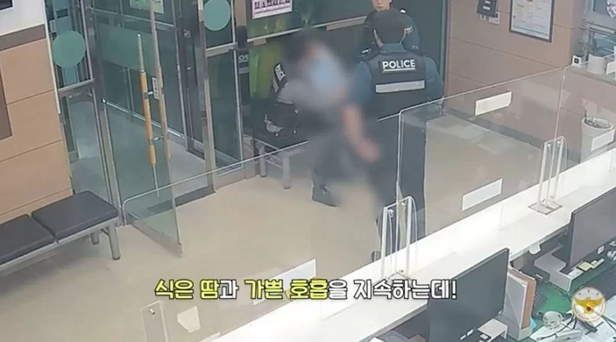 인사이트
