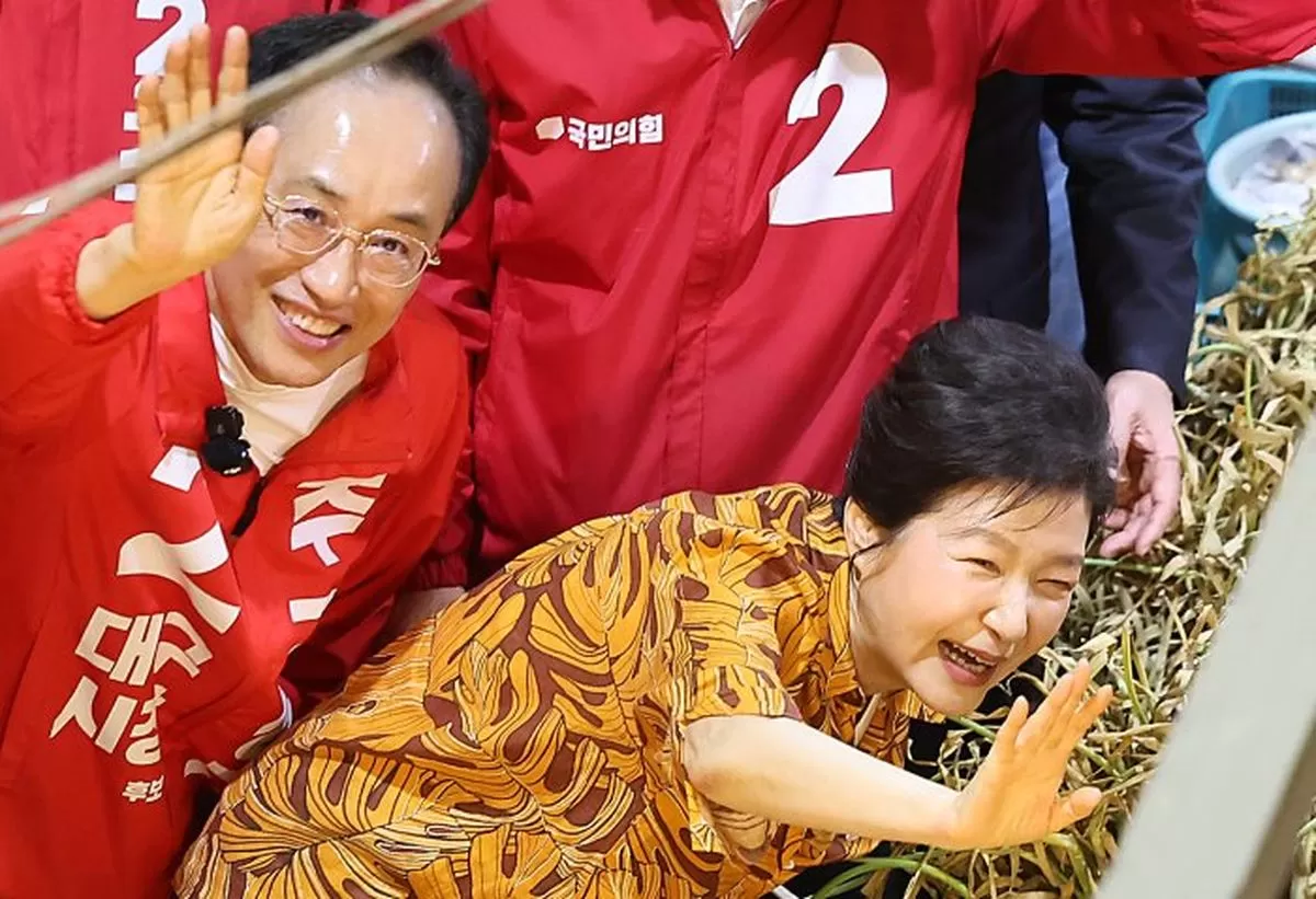 인사이트