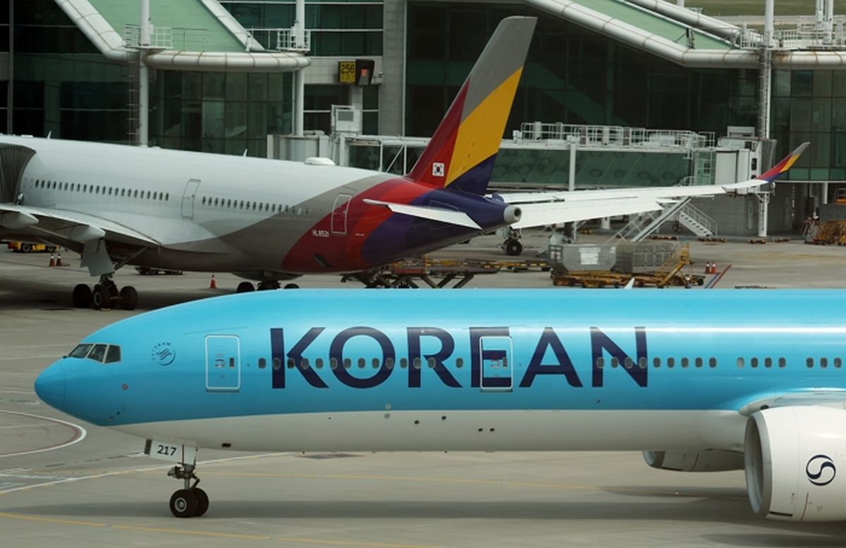대한항공 비행기서 즐기는 초고속 인터넷... 도입 시기 봤더니