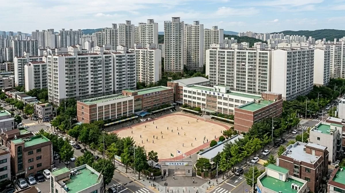 인사이트