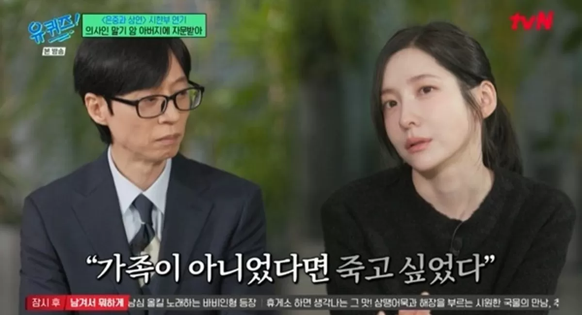 인사이트