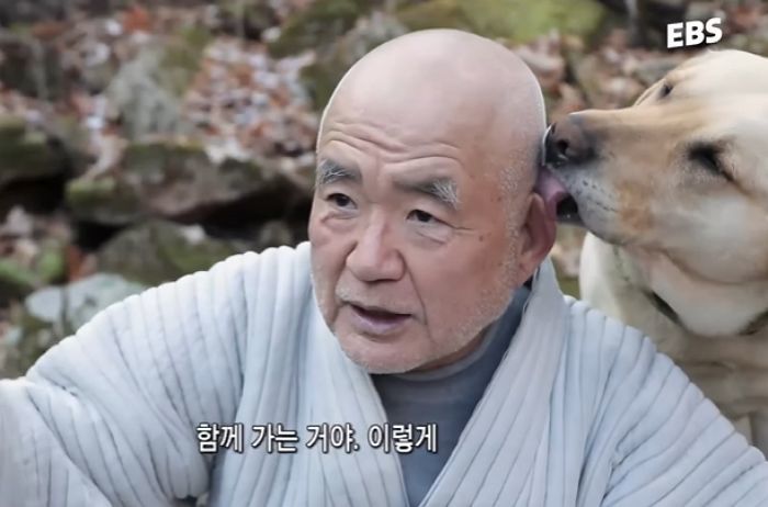 '츄파춥스님' 법흥사 삼보스님, 지난 27일 원적... 법랍 61년, 세수 76세
