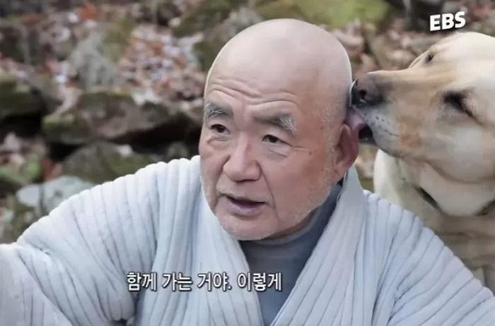 EBS '한국기행'