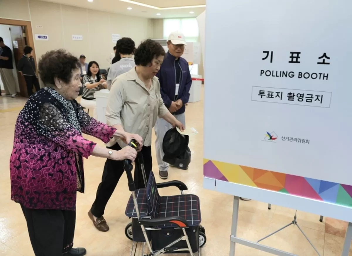 인사이트