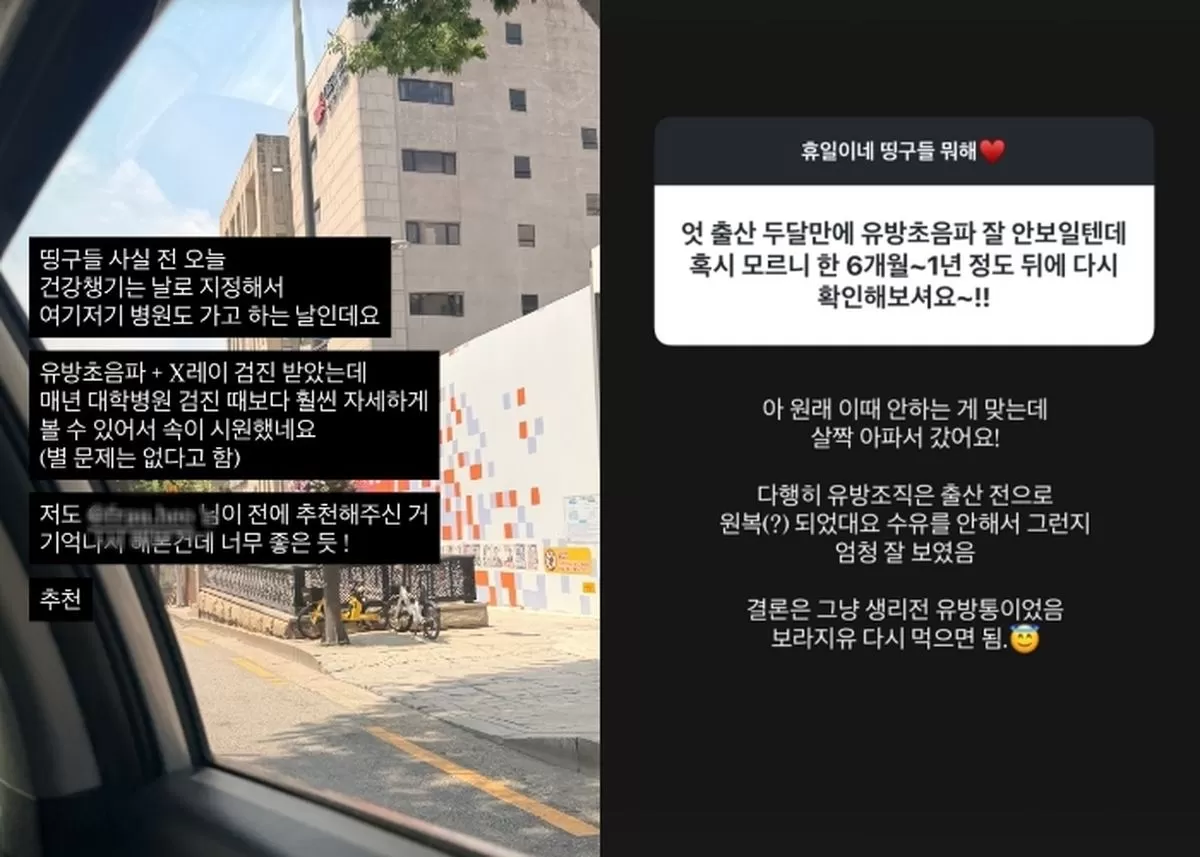 인사이트
