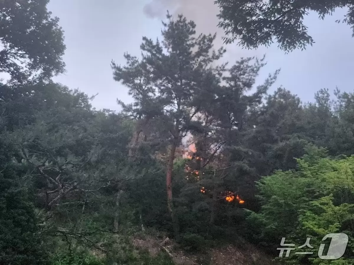 본문 이미지 - 화재 현장. (독자 제공. 재판매 및 DB 금지) 2026.6.3/뉴스1