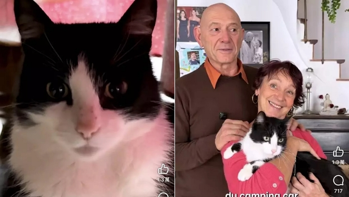 420241227_PL_cat_source-web_-7-e1779636773268.jpg