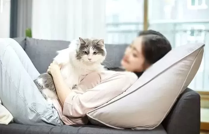 고양이 XX 오래도 사네”... 아이 낳은 후, 15년 키운 반려묘 냄새 나 ...