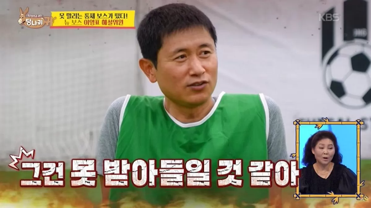 인사이트