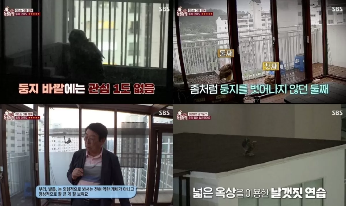 기존 이미지