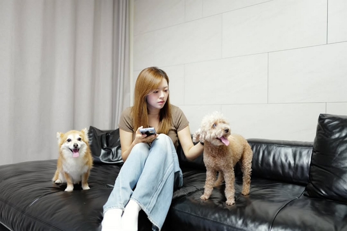 🐶.jpg