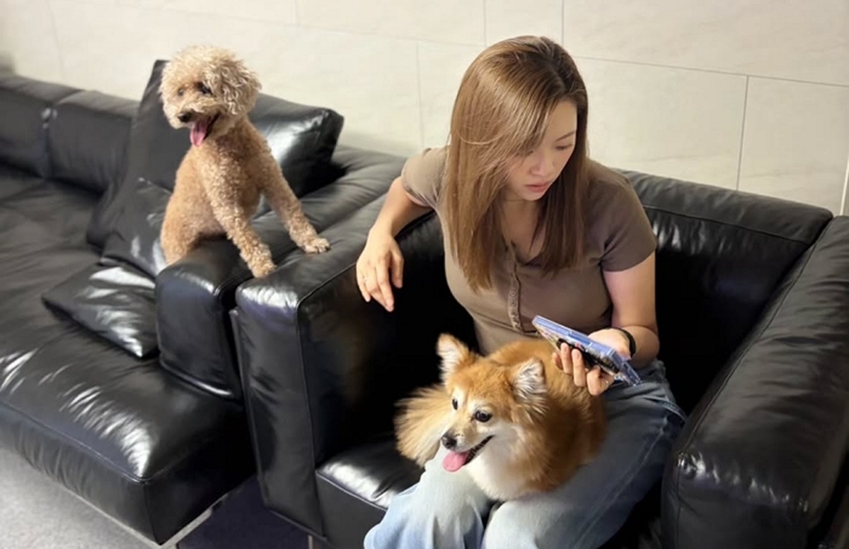 🐶 (2).jpg