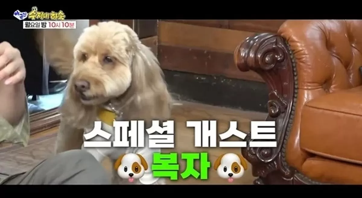 기존 이미지