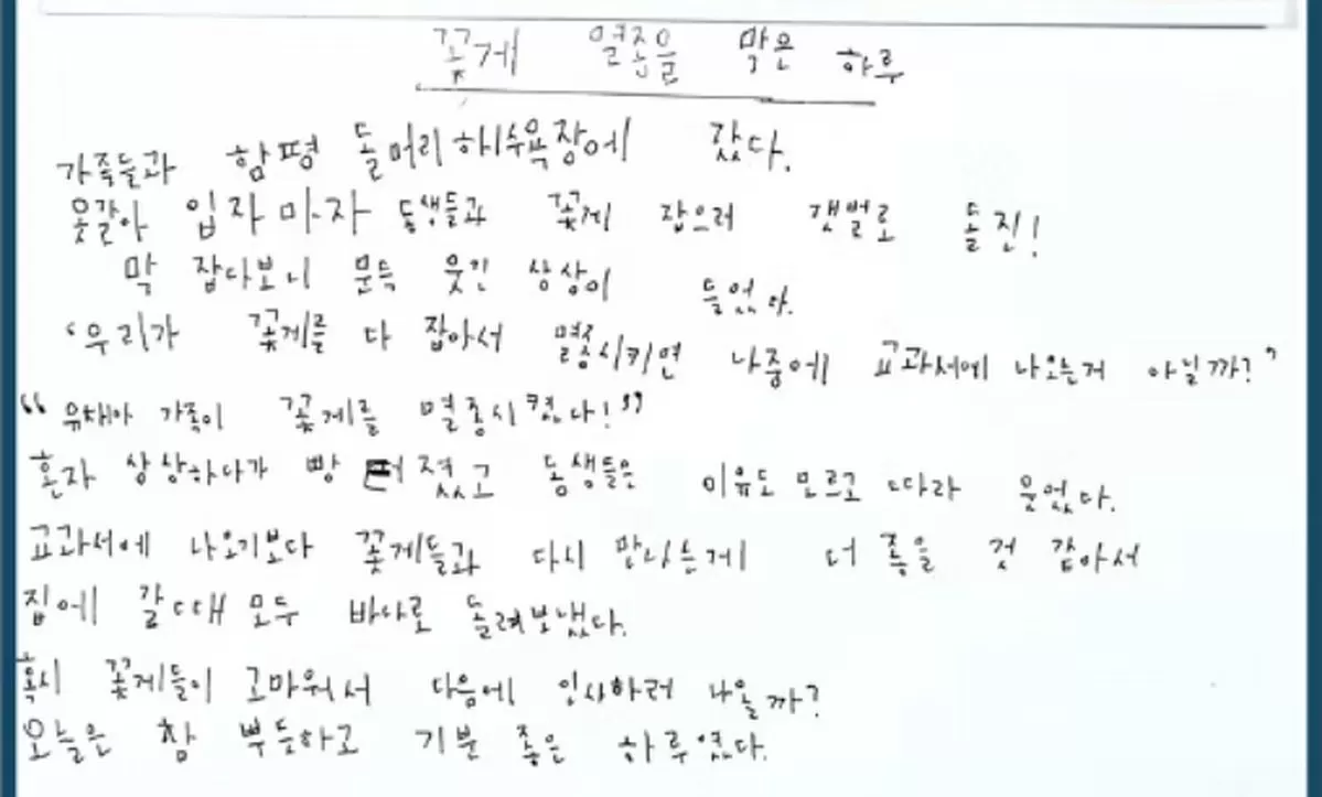 인사이트