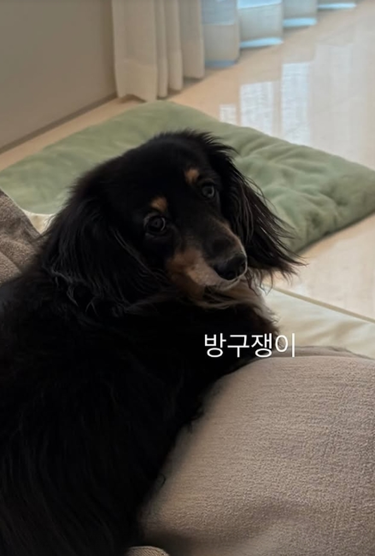 정경호 인스타그램