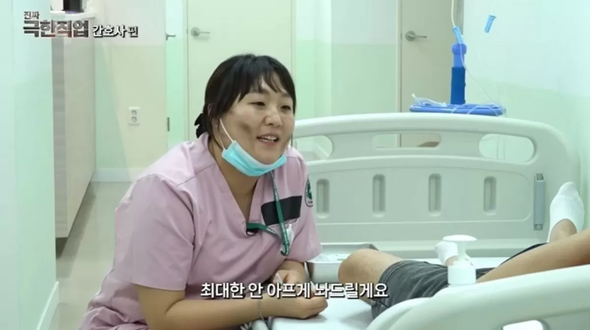 인사이트