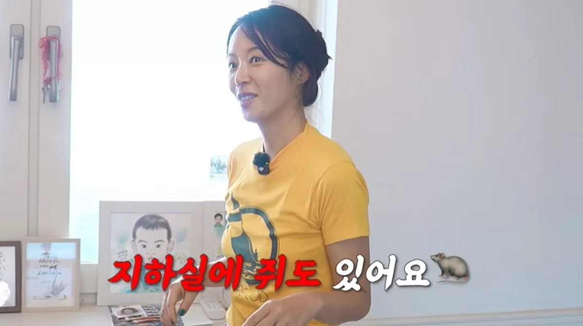 인사이트