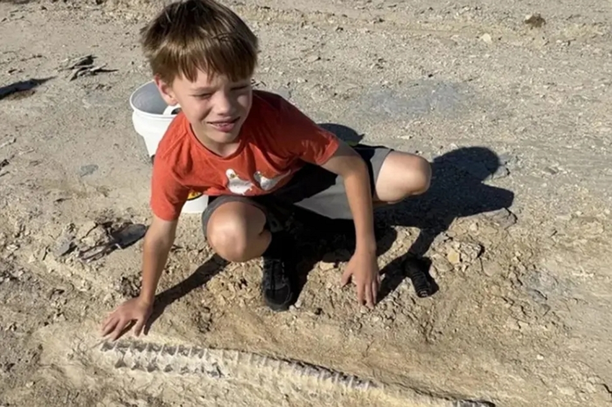 kansas-boy-discovers-15-foot-130545530.jpg