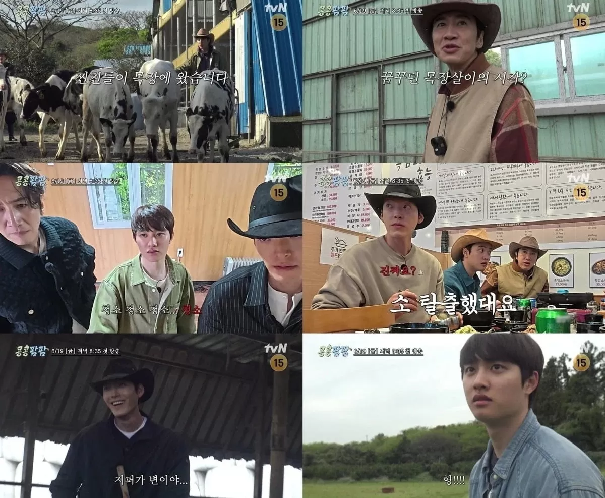 이광수, 김우빈, 도경수가 제주 목장에서 예상치 못한 노동의 현실과 마주한다./사진=tvN 제공