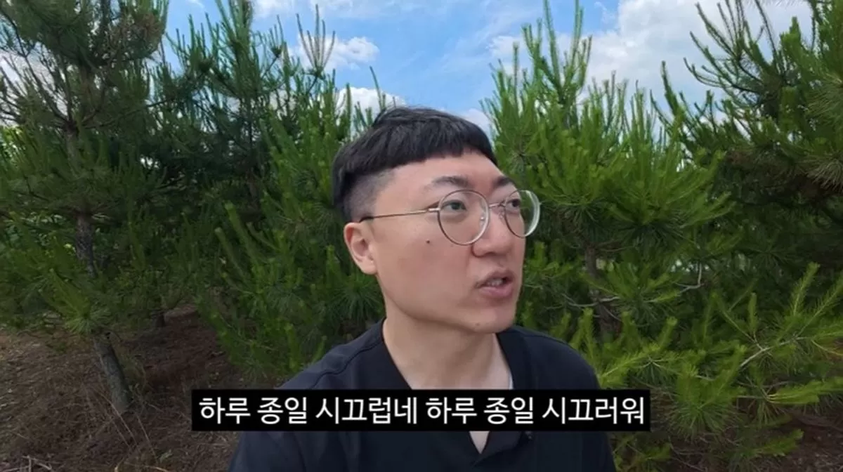 인사이트