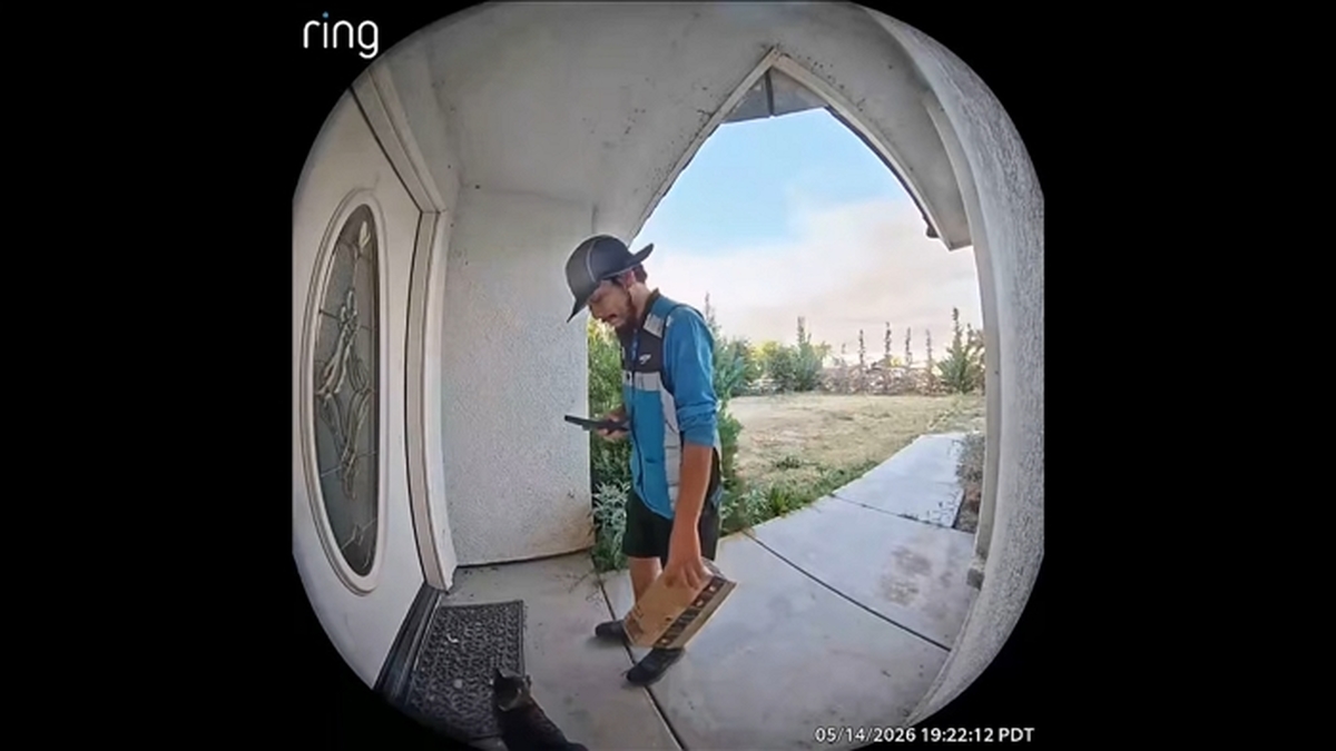 Delivery driver addresses alleged catnapping in Bakersfield 0-36 screenshot (1).jpg