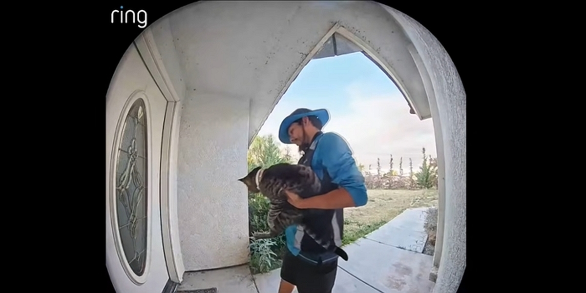 Delivery driver addresses alleged catnapping in Bakersfield 0-47 screenshot (2).jpg