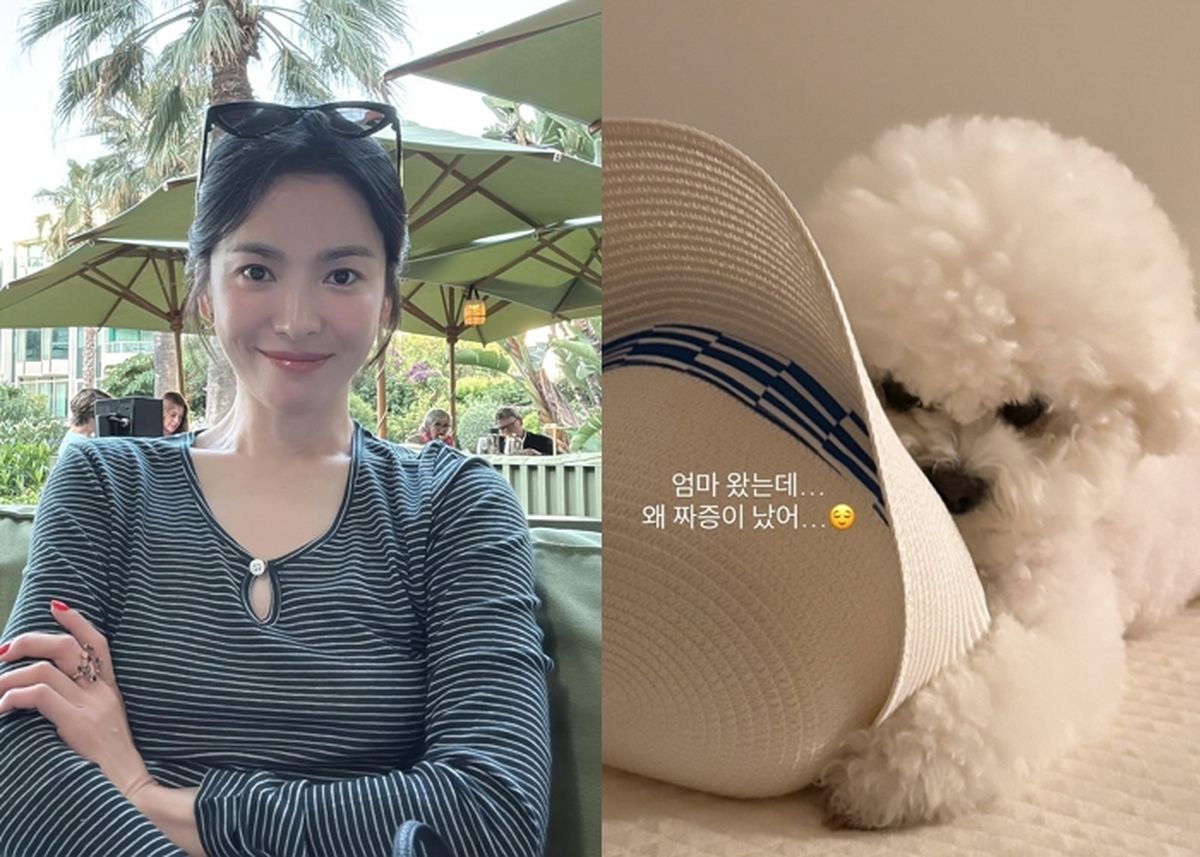 송혜교 “엄마 왔는데 왜 짜증”... 반려견 루비의 예상 밖 표정
