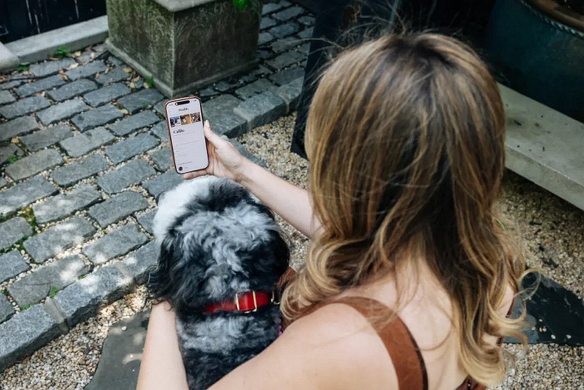 erika-wasser-bernedoodle-callie-soho-130199180.jpg