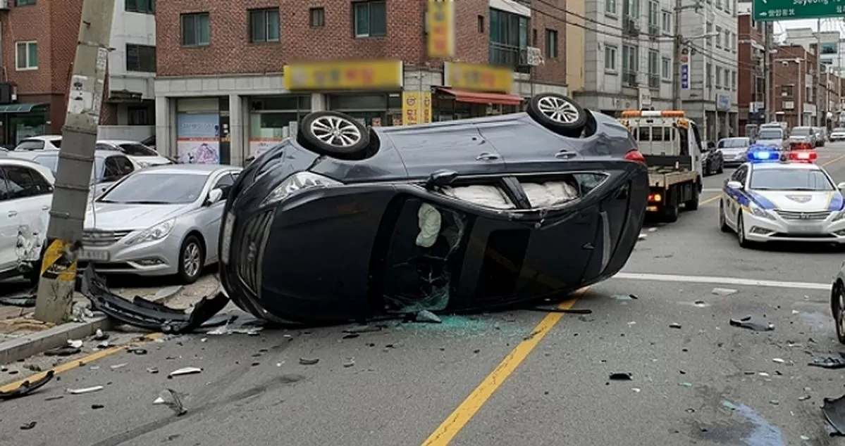 인사이트