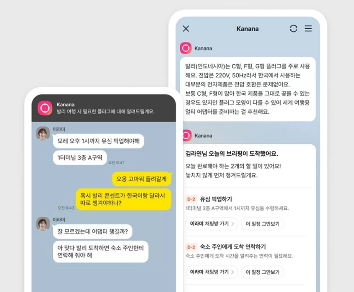인사이트