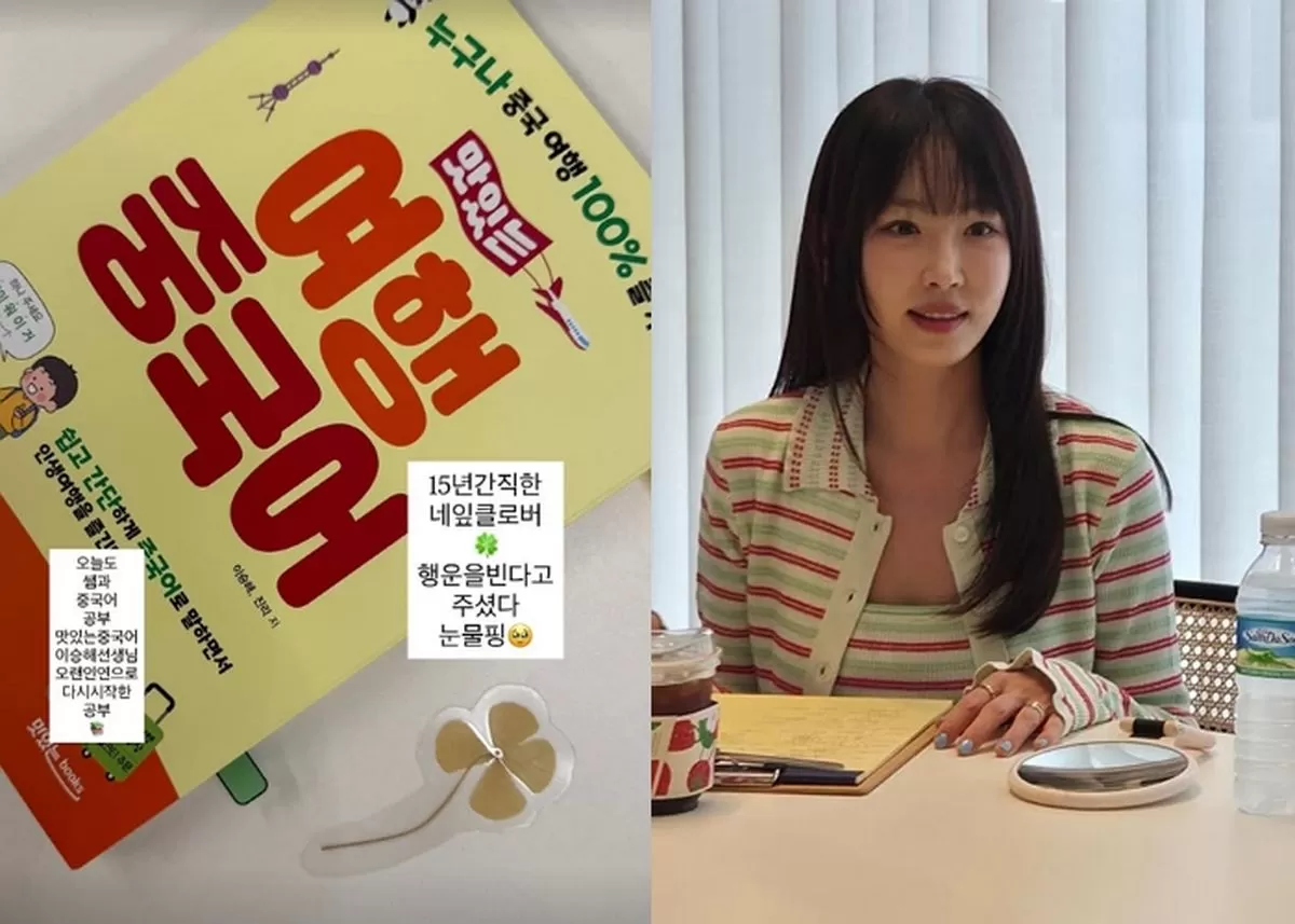 인사이트
