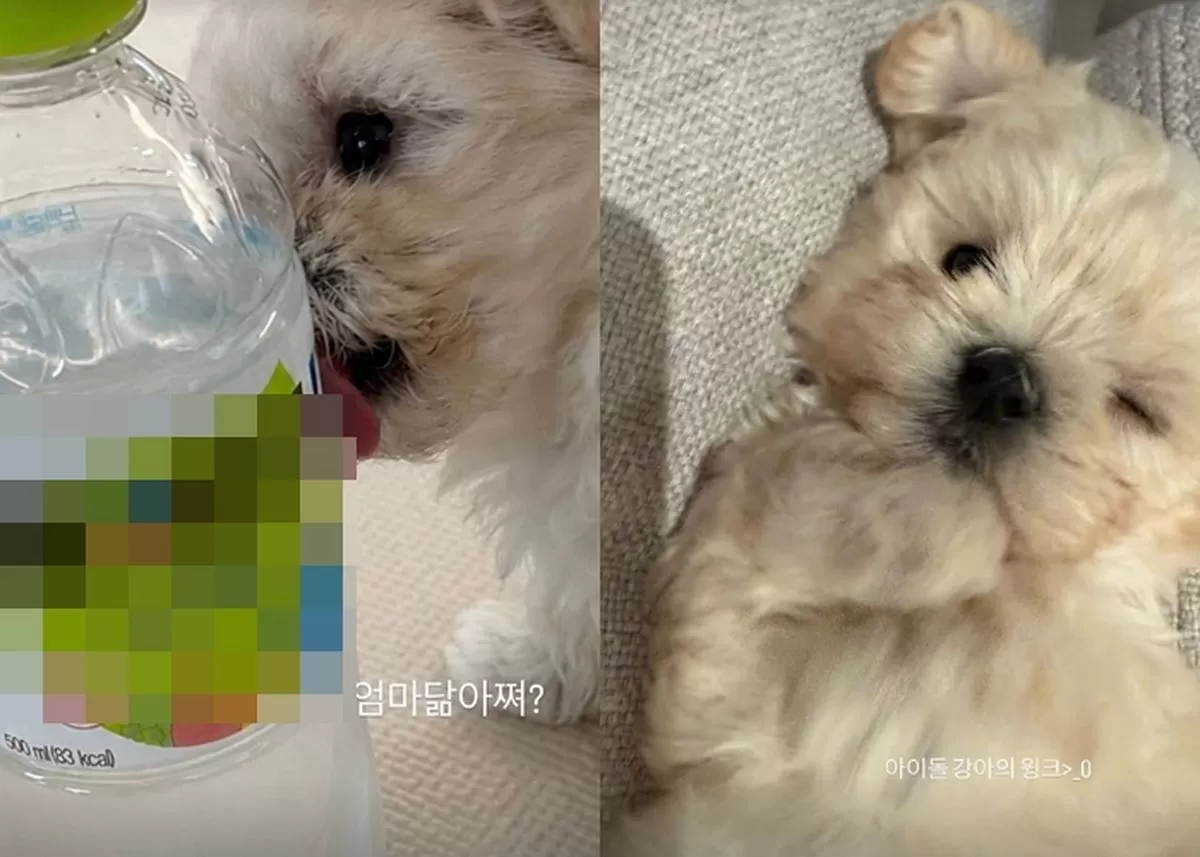 윈터 인스타그램