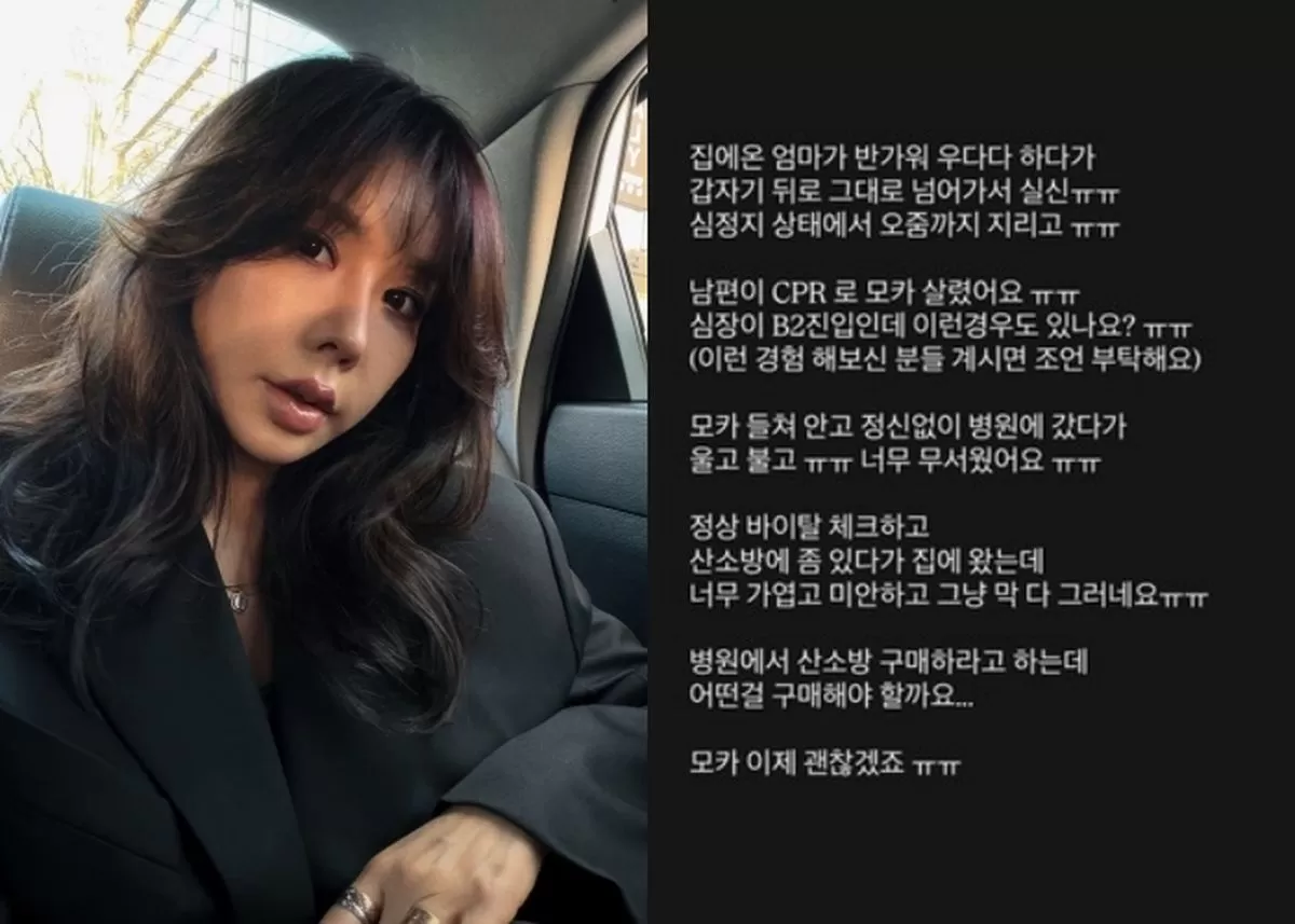 인사이트