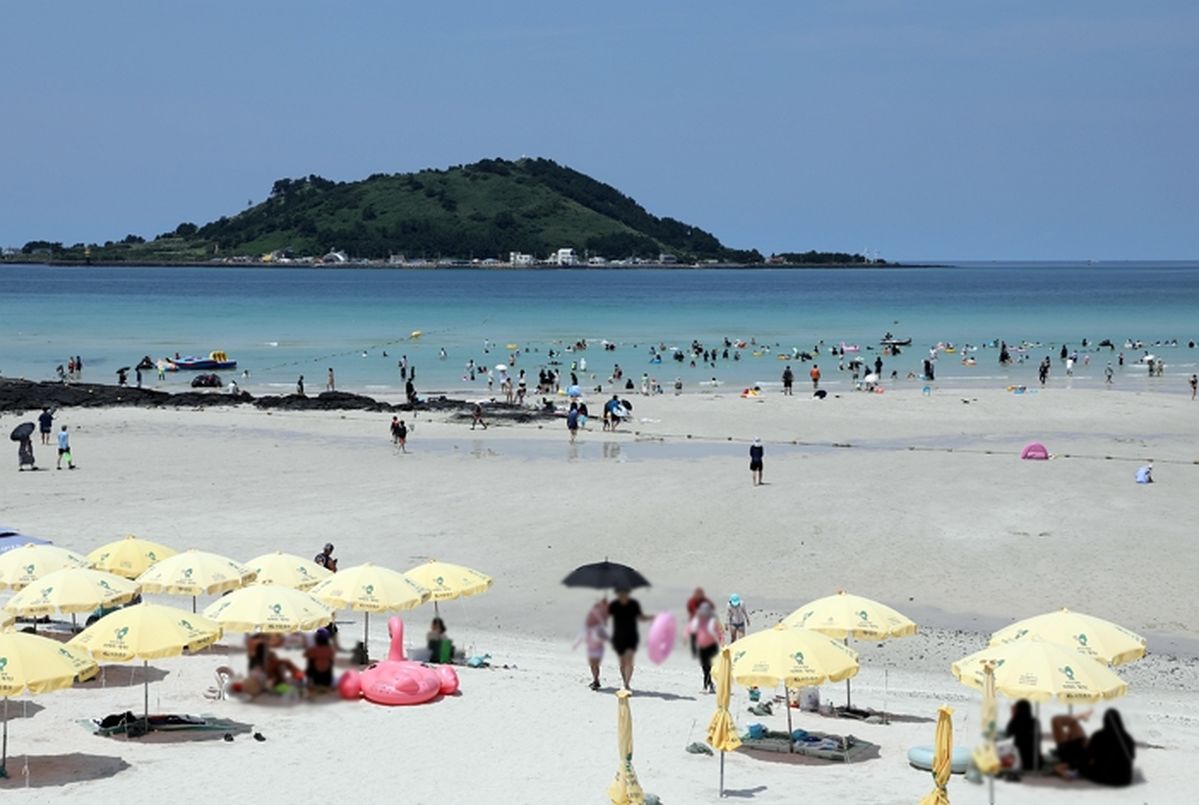 제주도, 24일부터 '해수욕장 12곳' 개장한다... 파라솔·평상 요금은 그대로