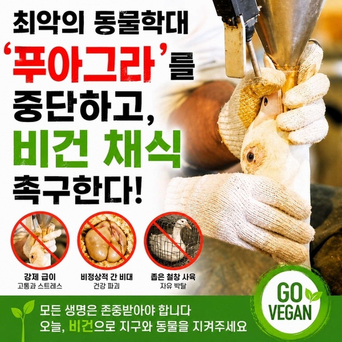 origin_고급음식아니고학대…동물단체샥스핀·푸아그라중단촉구.jpg