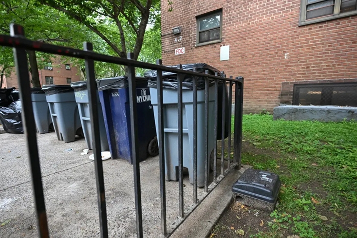 260620-rats-38-rutgers-ave-131952866.jpg