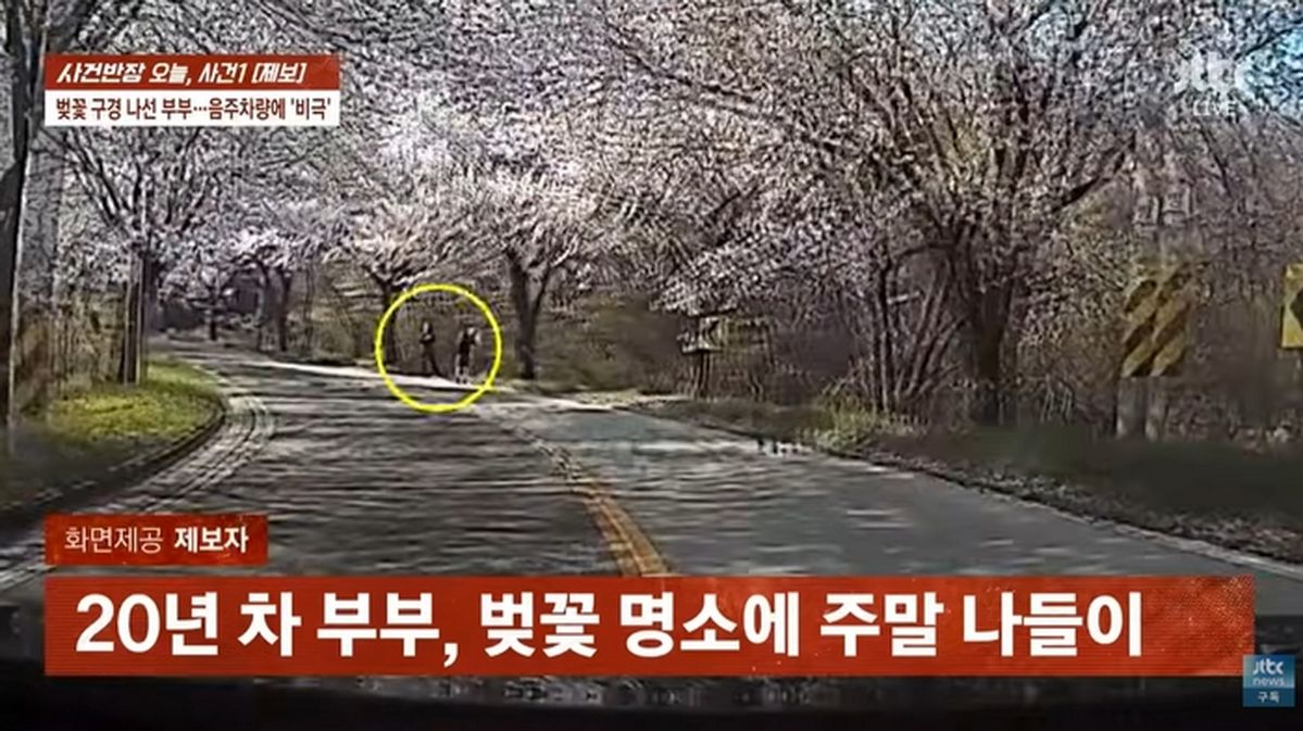 단 2초 만에 깨진 벚꽃 나들이... '음주 전력 2회' 만취 차량에 40대 엄마 숨져