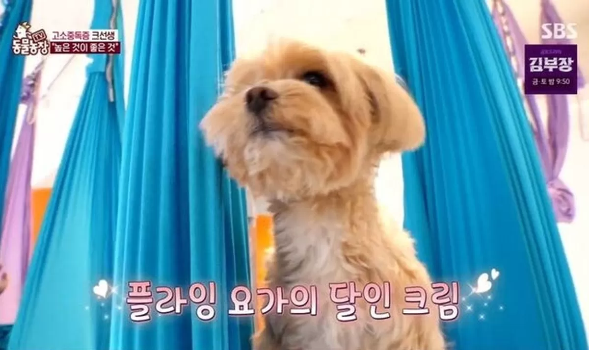 기존 이미지
