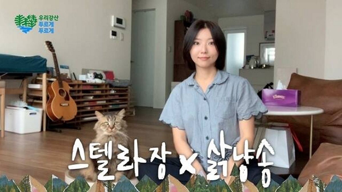 유한킴벌리, 화제의 ‘삵냥이 송’에 스텔라장 목소리 입혔다... 환경 메시지도 귀에 ‘쏙’