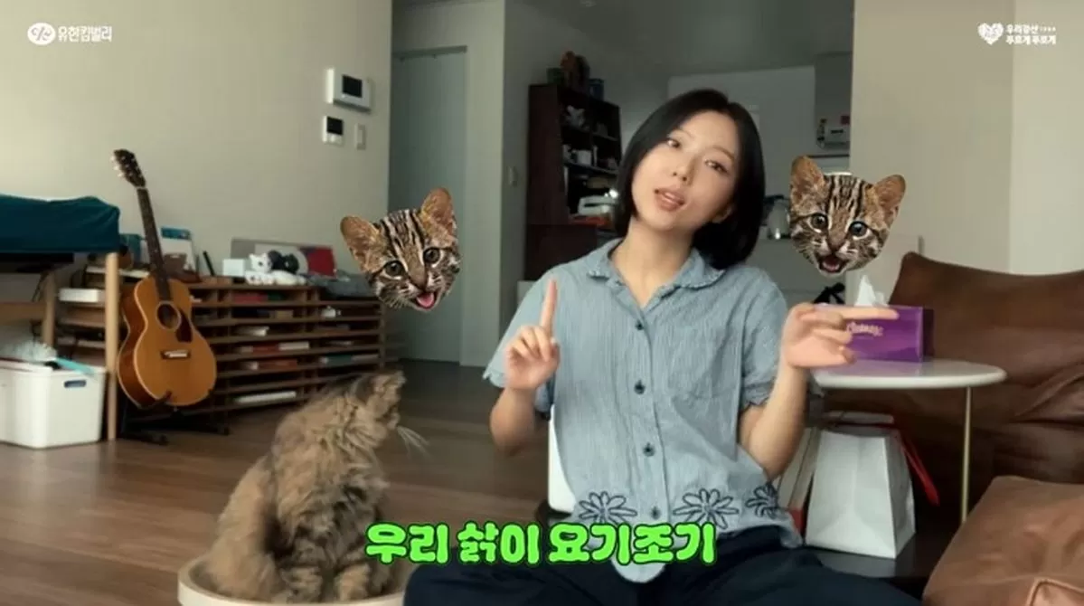 인사이트