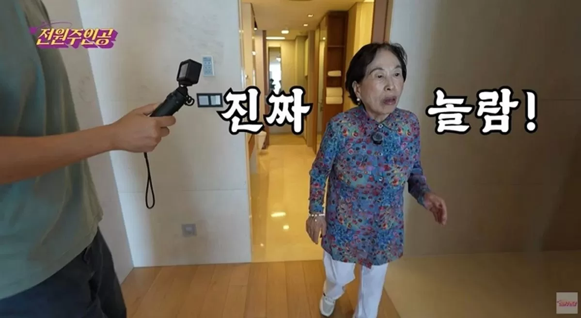 인사이트