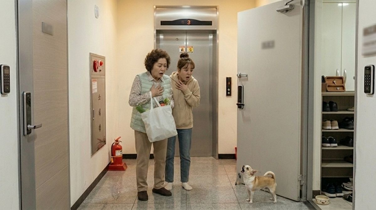 복도에서 문 열어두고 개 방치한 이웃... 항의하자 “우리 개는 안 물어요”