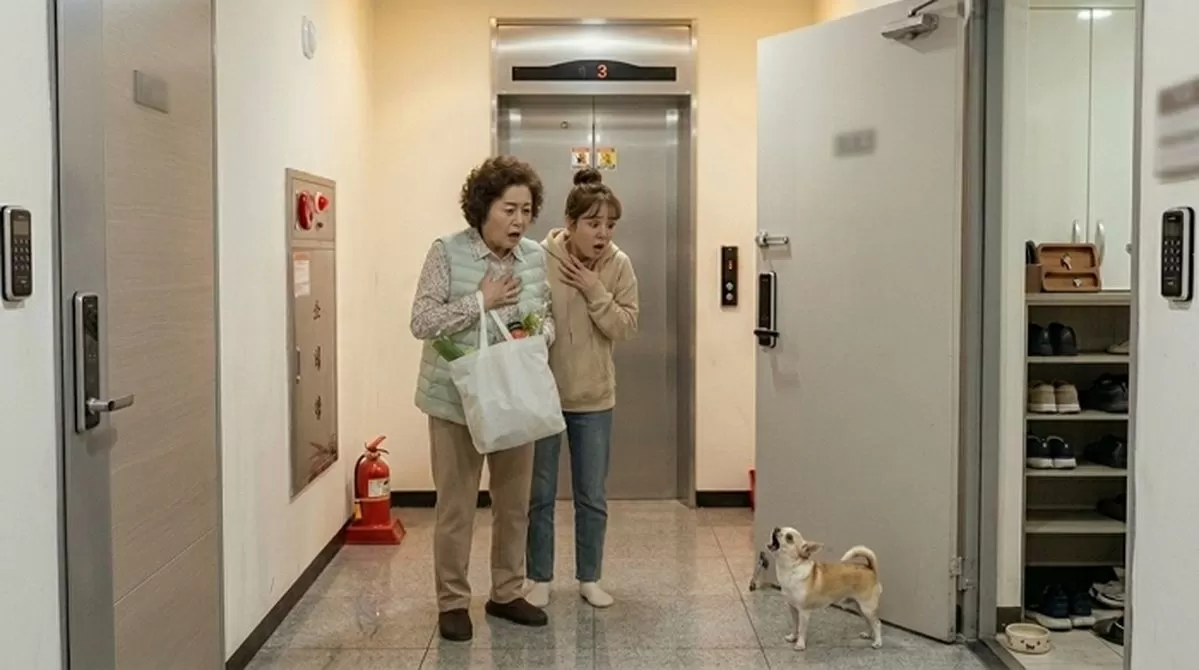 인사이트