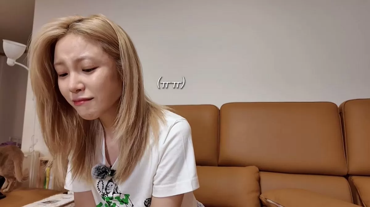 인사이트