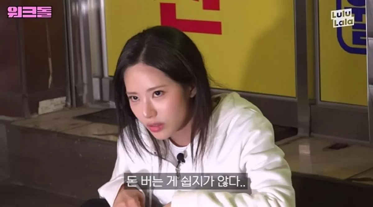 인사이트